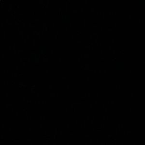 Meet your Posher, Rashad